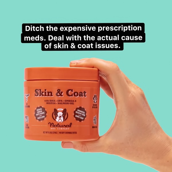 A high-contrast, minimalist ad for a pet supplement featuring a hand holding the product jar against a solid mint background.